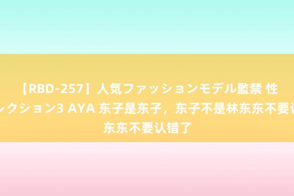【RBD-257】人気ファッションモデル監禁 性虐コレクション3 AYA 东子是东子，东子不是林东东不要认错了