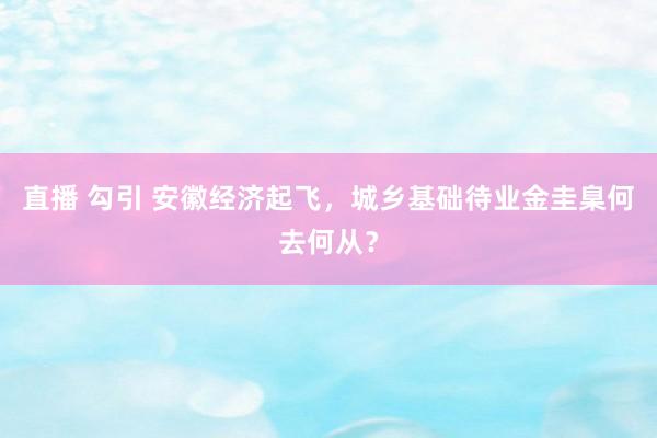 直播 勾引 安徽经济起飞，城乡基础待业金圭臬何去何从？