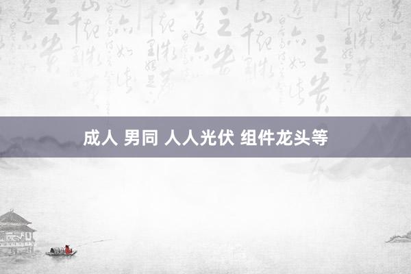 成人 男同 人人光伏 组件龙头等