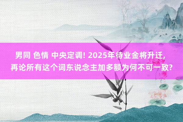 男同 色情 中央定调! 2025年待业金将升迁, 再论所有这个词东说念主加多额为何不可一致?