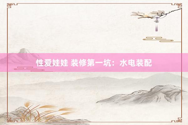 性爱娃娃 装修第一坑：水电装配